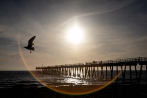 Eric Thayer/Los Angeles Times/TNS