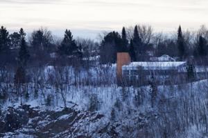 Anthony Souffle/The Minnesota Star Tribune/TNS