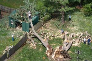 Tammy Ljungblad/Kansas City Star/TNS