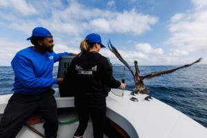 Kristian Carreon/The San Diego Union-Tribune/TNS