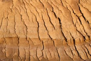 Dreamstime/Dreamstime/TNS