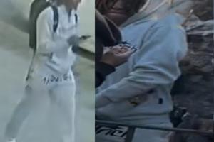 New York Police Department/New York Police Department/TNS