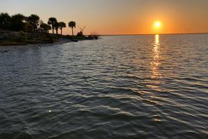 Seagrass has made an unexpected return to Mosquito Lagoon. Captain William B. Wolfson, Grassroots Guide Service, New Smyrna Beach, FL