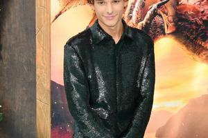 Bang Showbiz / Mason Thames's film How To Train Your Dragon 2 has been blighted by a terrible accident