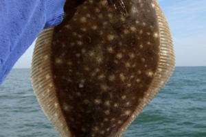 Richard Gunion/Dreamstime/TNS