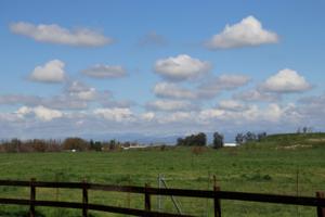 Dreamstime/Dreamstime/TNS