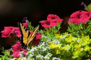 Handout/Norman Winter/TNS