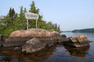 Anthony Souffle/The Minnesota Star Tribune/TNS