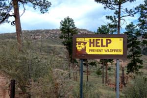 Brad Sauter/Dreamstime/Dreamstime/TNS