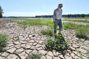 Max Ortiz/The Detroit News/TNS