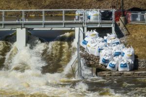 Katy Kildee, The Detroit News/The Detroit News/TNS