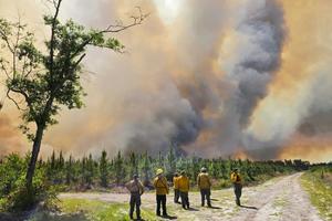 Fire crews responded to dozens of wildfires burning in Georgia and northern Florida on April 23, 2026. Georgia Department of Natural Resources via AP