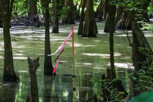 Tim Dominick/The State/TNS