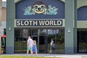 Ricardo Ramirez Buxeda/Orlando Sentinel/TNS