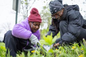 Josh Boland/Chicago Tribune/TNS