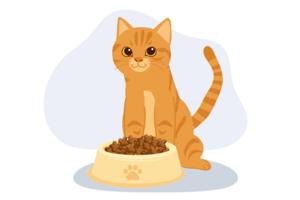 Dreamstime/Dreamstime/TNS