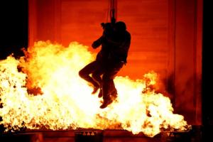 Shane Harvey/FOX/TNS