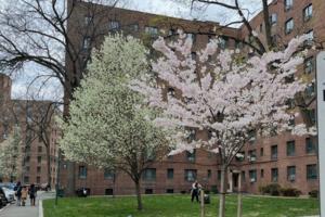 Robbie Sequeira/Stateline/TNS