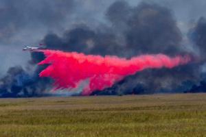 Pedro Portal/Miami Herald/TNS