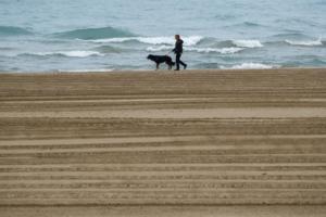 José M. Osorio/Chicago Tribune/TNS