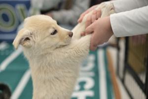 Hyoung Chang/The Denver Post/TNS