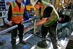 Brian Peterson/Star Tribune/TNS