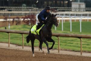 Andy Lyons/Getty Images North America/TNS