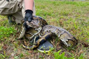 Miami Herald/Miami Herald/TNS