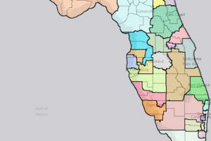The Florida Senate/TNS/TNS