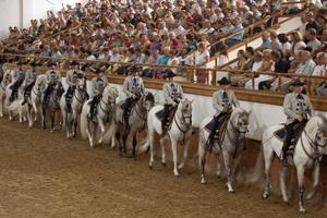 At the Royal Andalusian School of Equestrian Art in Jerez, Spain, horses perform an equestrian ballet with choreography and costumes from the 19th century. (Dominic Arizona Bonuccelli, Rick Steves' Europe)