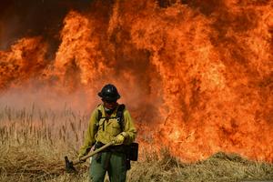Large-scale wildfires seem to turn visitors away, while prescribed burning may have the opposite effect.   Helen H. Richardson/MediaNews Group/The Denver Post via Getty Images