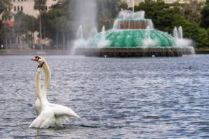 Joe Burbank/Orlando Sentinel/TNS