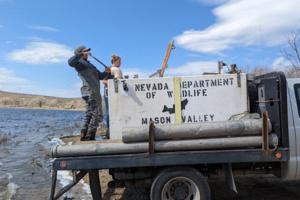 Nevada Department of Wildlife/TNS/TNS