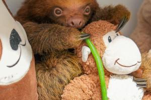 Central Florida Zoo & Botanical Gardens/Central Florida Zoo & Botanical Gardens/TNS