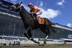 Kenneth K. Lam/Baltimore Sun/TNS