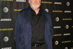 Bang Showbiz / Harry Potter star Brendan Gleeson