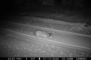 California Department of Fish and Wildlife/TNS/TNS