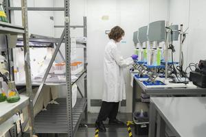 A scientist prepares samples while doing research on PFAS at a U.S. Environmental Protection Agency lab. Understanding of chemicals’ risks has been built on IRIS assessments.
              AP Photo/Joshua A. Bickel