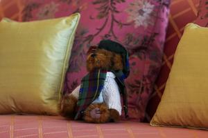 Bang Showbiz / Haddington Bear who belonged to the late Queen Elizabeth.