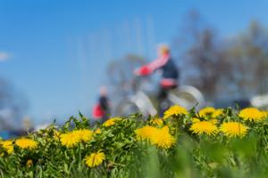 Dreamstime/Dreamstime/TNS