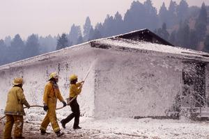 The PFAS in firefighting foam are suspected to be significant occupational health hazards.
              Jim Peaco/Yellowstone Digital Slide Files