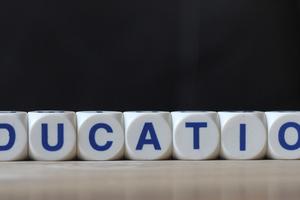 Education letters cube wordings on wood table. Dreamstime/TCA