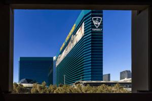 L.E. Baskow @Left_Eye_Images/Las Vegas Review-Journal/TNS