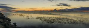 Dreamstime/Dreamstime/TNS