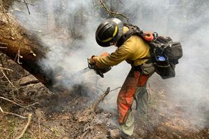 Smoke and ash contain chemicals that can harm wildland firefighters, and not just when they breathe it in. White River National Forest/BLM via Flickr