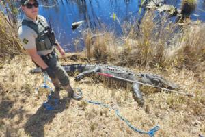 N.C. Wildlife Resources Commission/N.C. Wildlife Resources Commission/TNS