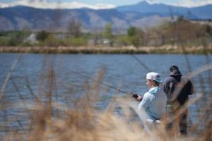 Harmon Dobson/The Denver Post/TNS
