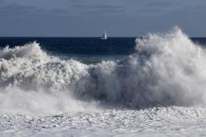 Mario Tama/Getty Images North America/TNS
