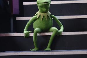 Bang Showbiz / Kermit The Frog