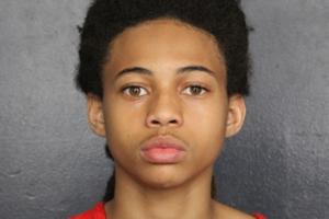 Broward Sheriff's Office/Broward Sheriff's Office/TNS